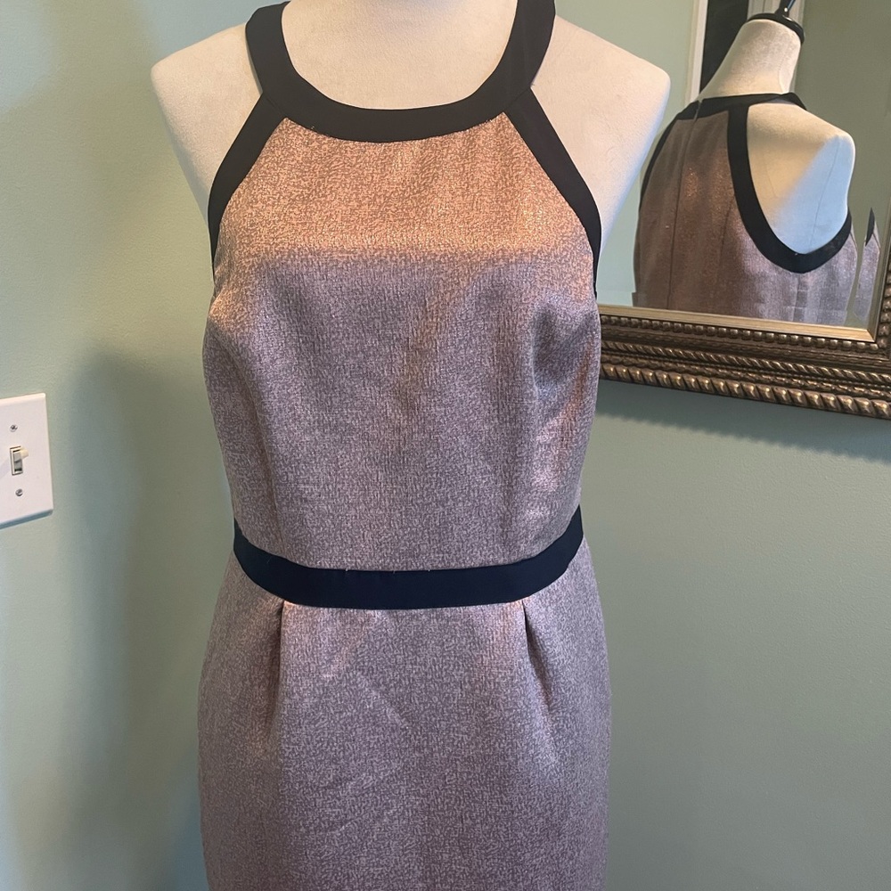 The Limited dress